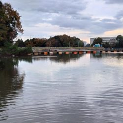 大安トラウトレイク釣果